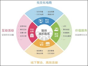 华阳信通发布O2O数据化服务战略 以体系化数据服务驱动商业未来